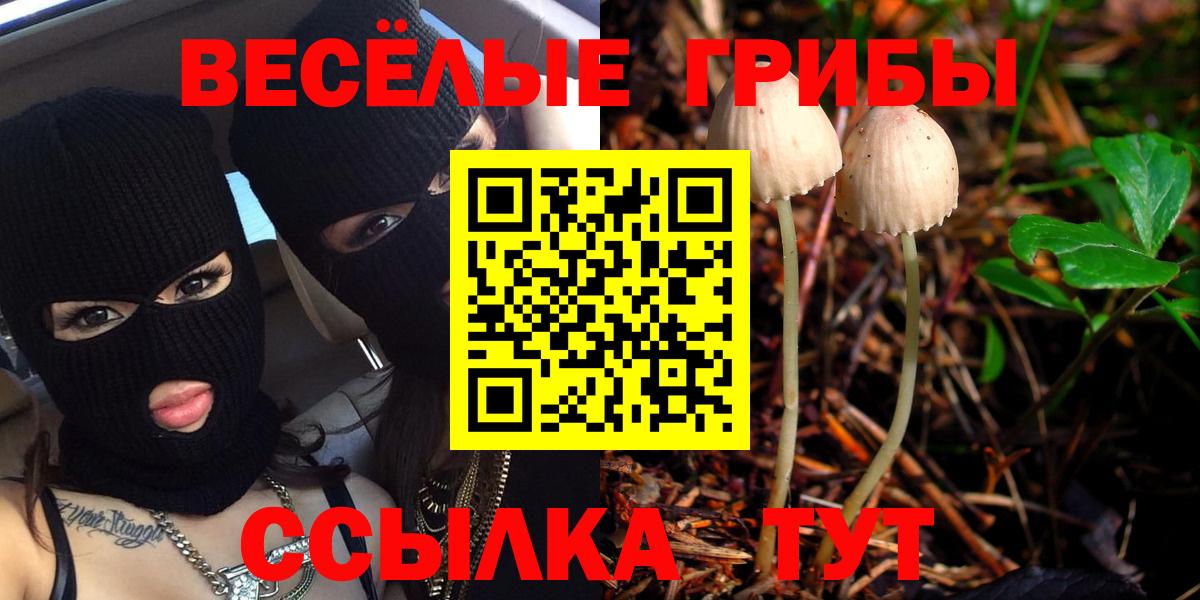 Галлюциногенные грибы Psilocybine cubensis  закладки  Кушва  Вход с VPN 